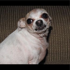 Meet your Posher, Juana